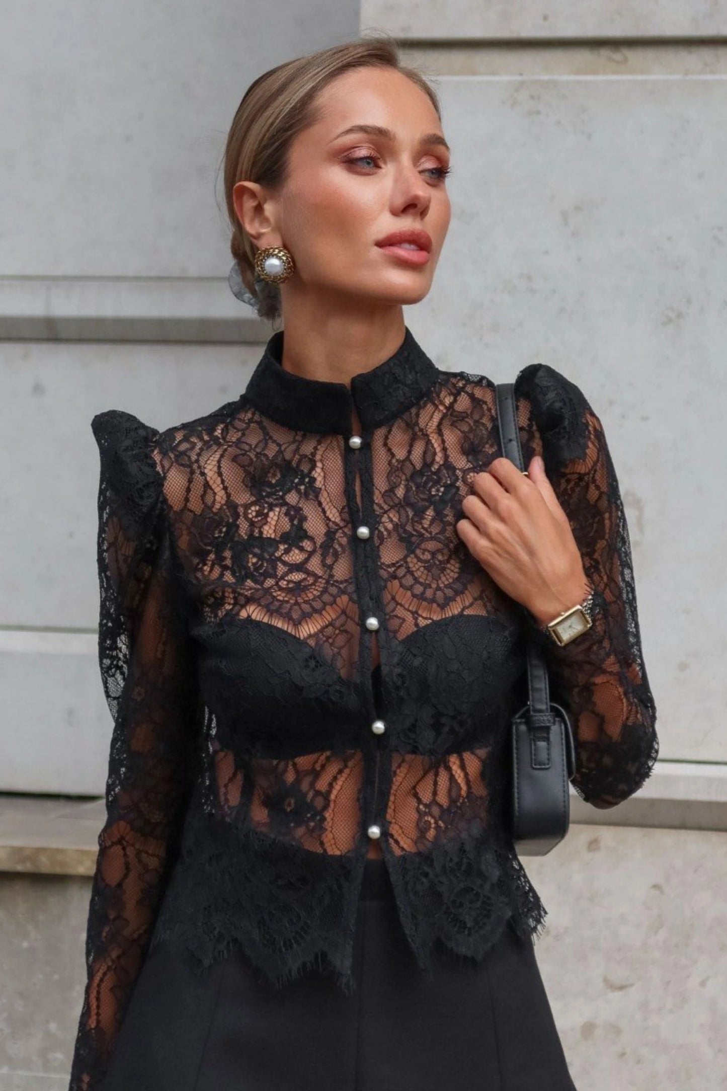 Black Lace Stand Collar Sheer Blouse