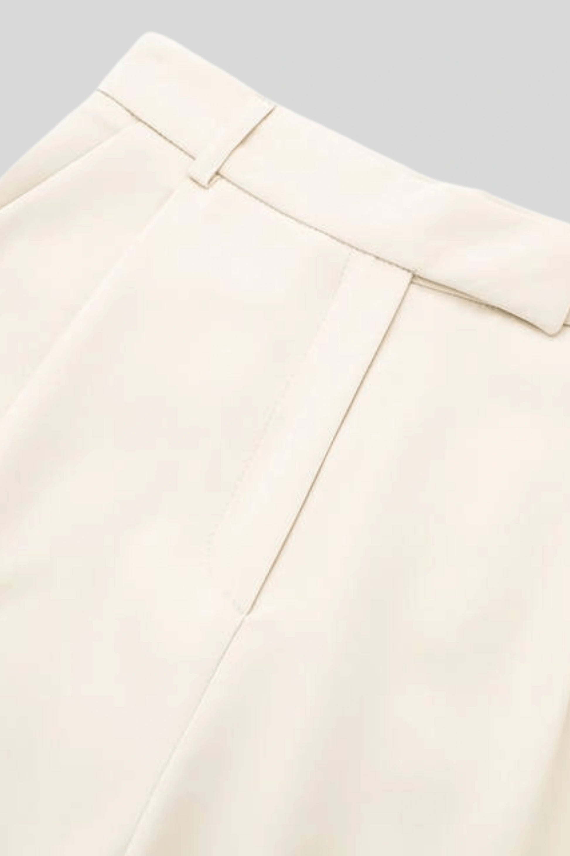 Alzya High-Waisted Pleated Wide-Leg Pants