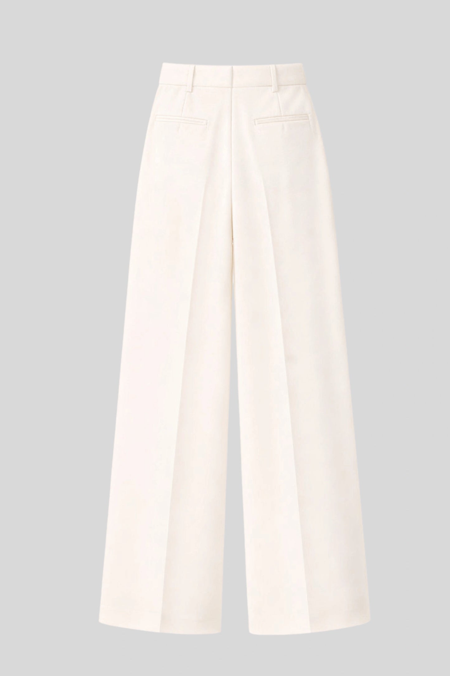 Alzya High-Waisted Pleated Wide-Leg Pants