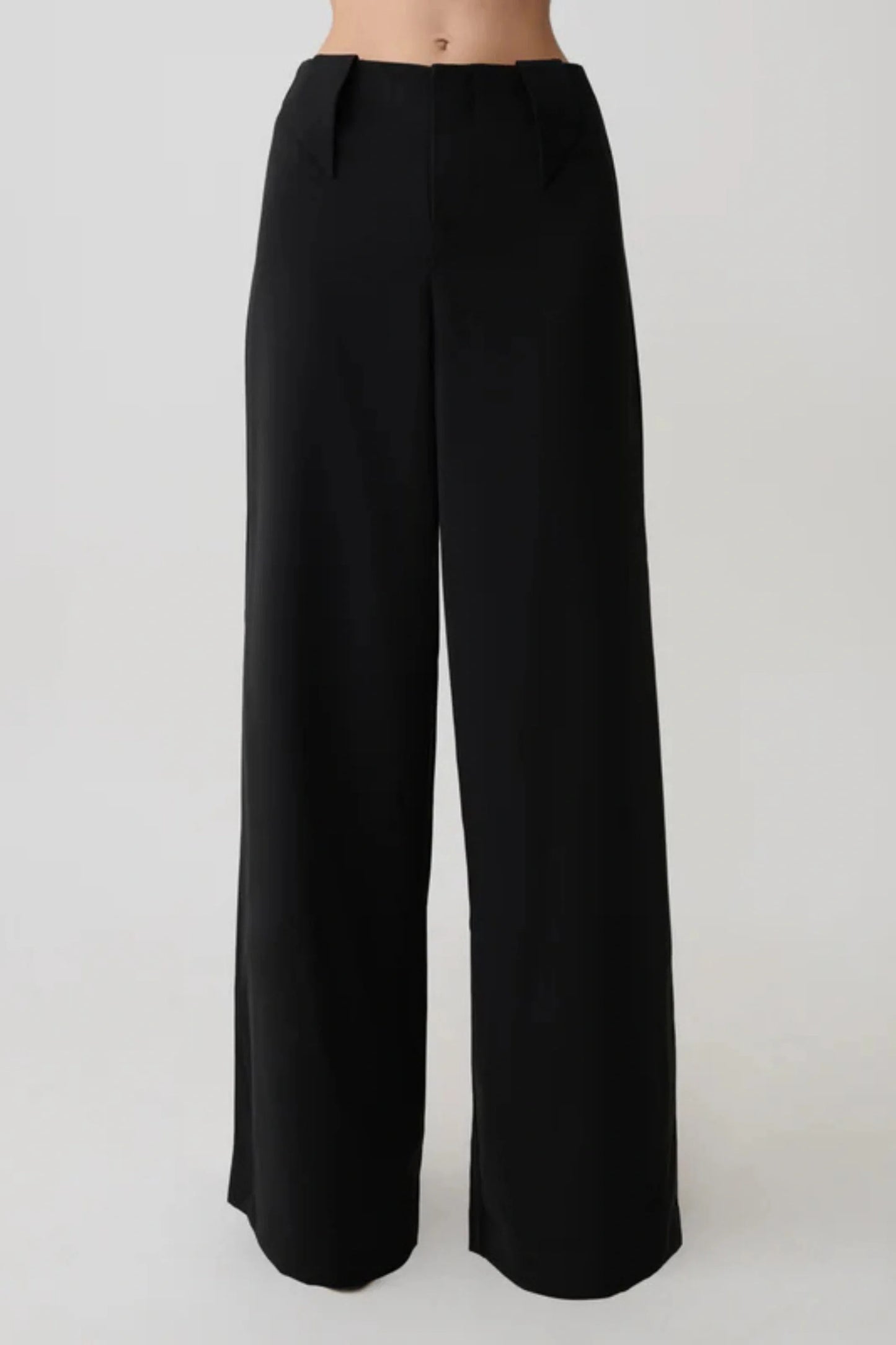 High-Waist Wide-Leg Pleated Pants – black