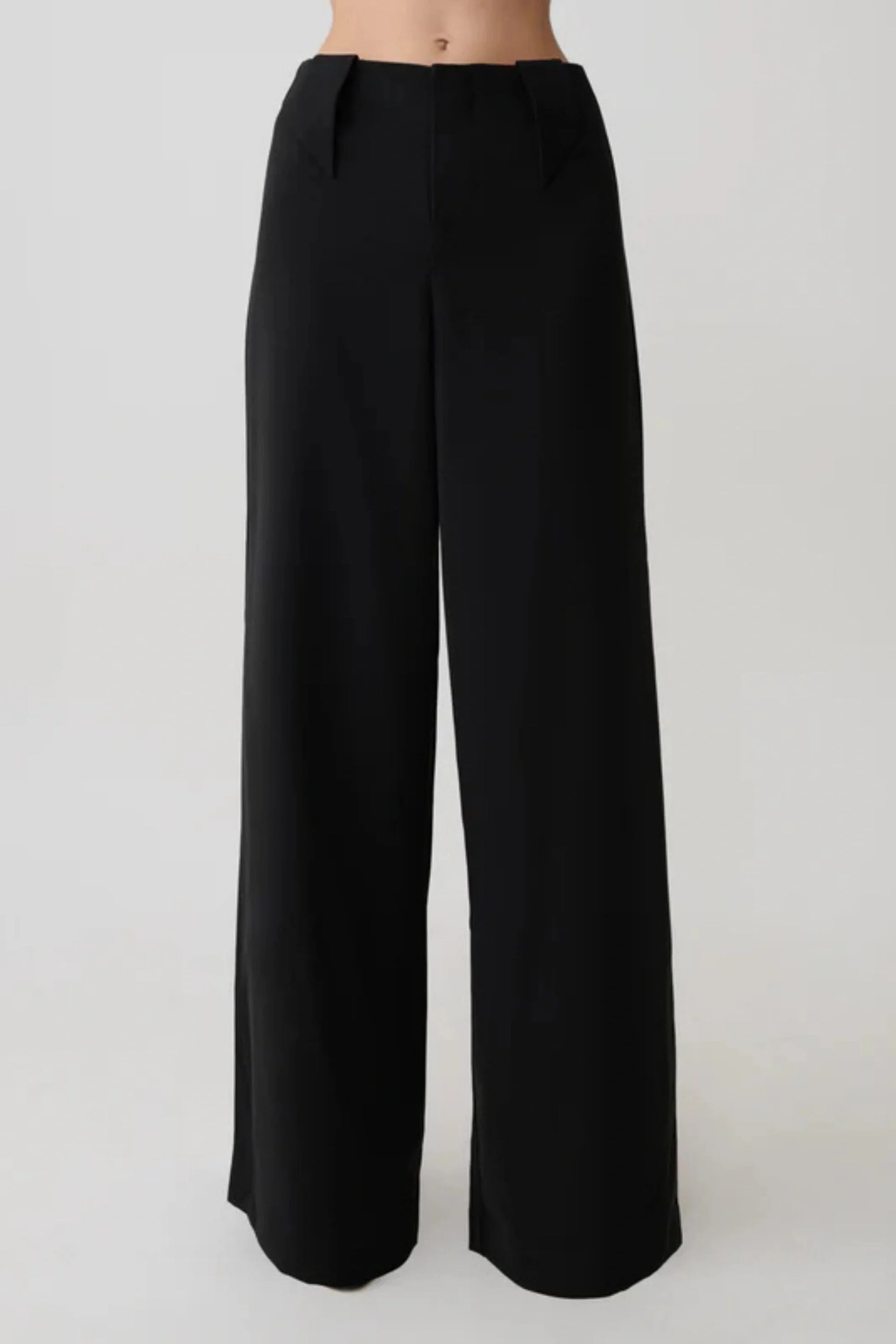High-Waist Wide-Leg Pleated Pants – black