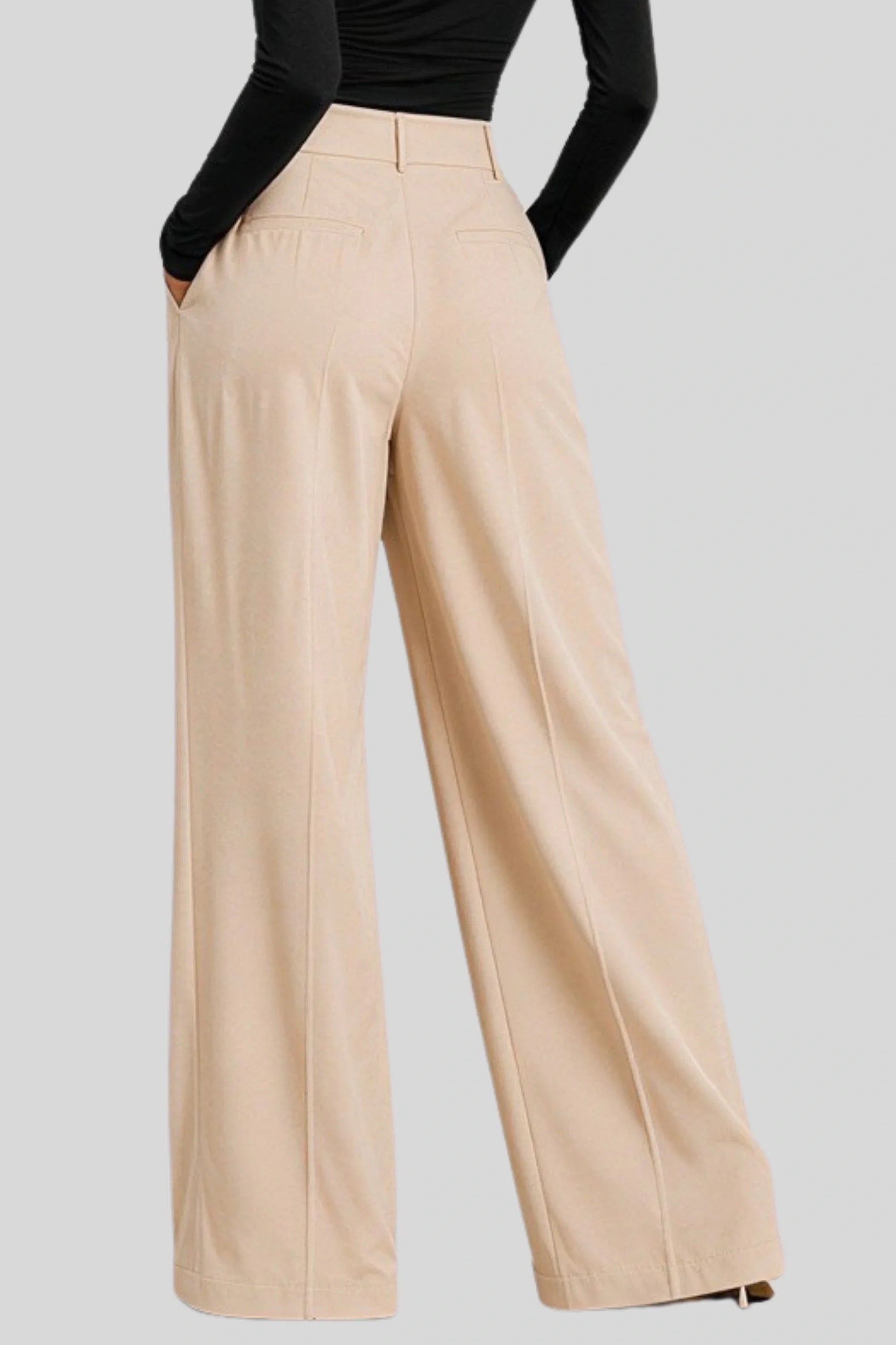 High-Waist Wide-Leg Pleated Pants – Natural Beige Natural Beige