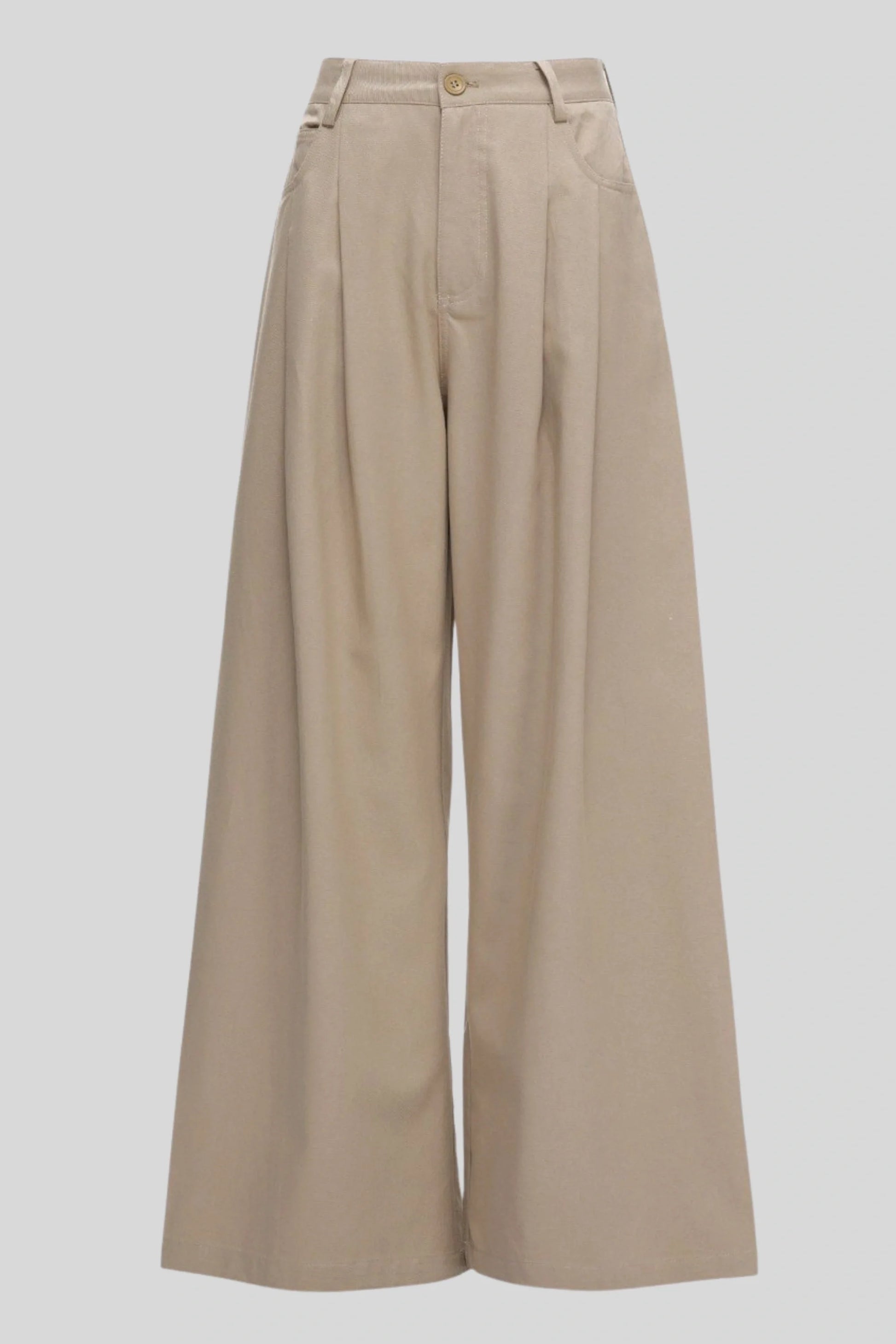 High-Waisted Pleated Wide-Leg Pants – Beige Beige