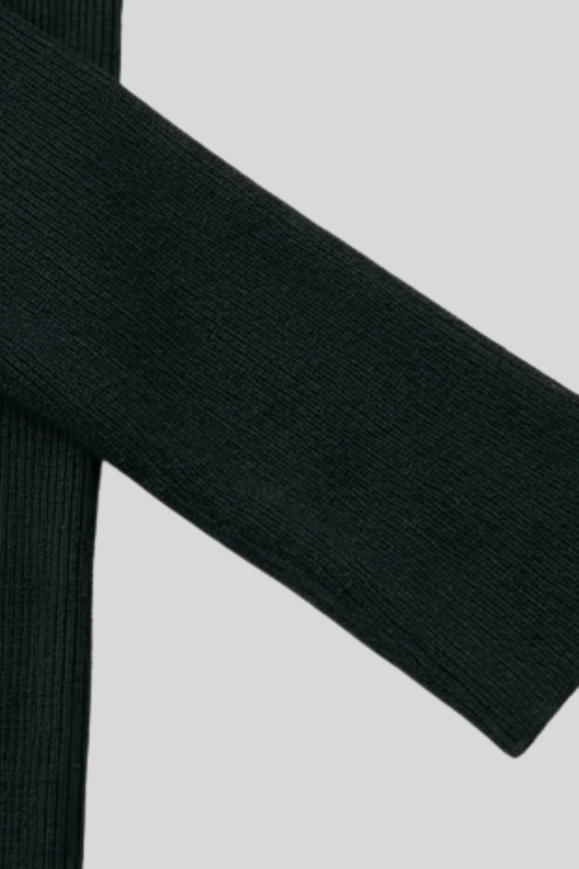 Alzya slim wool long sleeve top